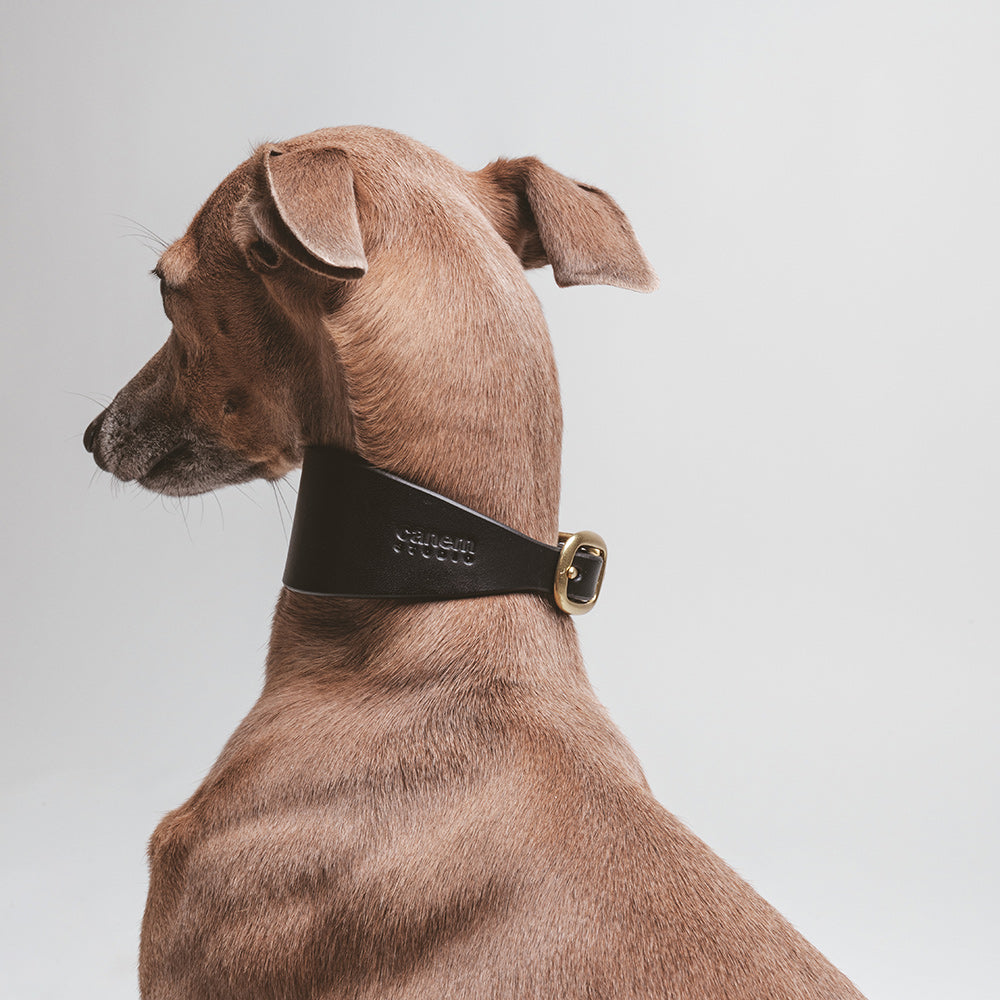 ROUE / sighthound collar